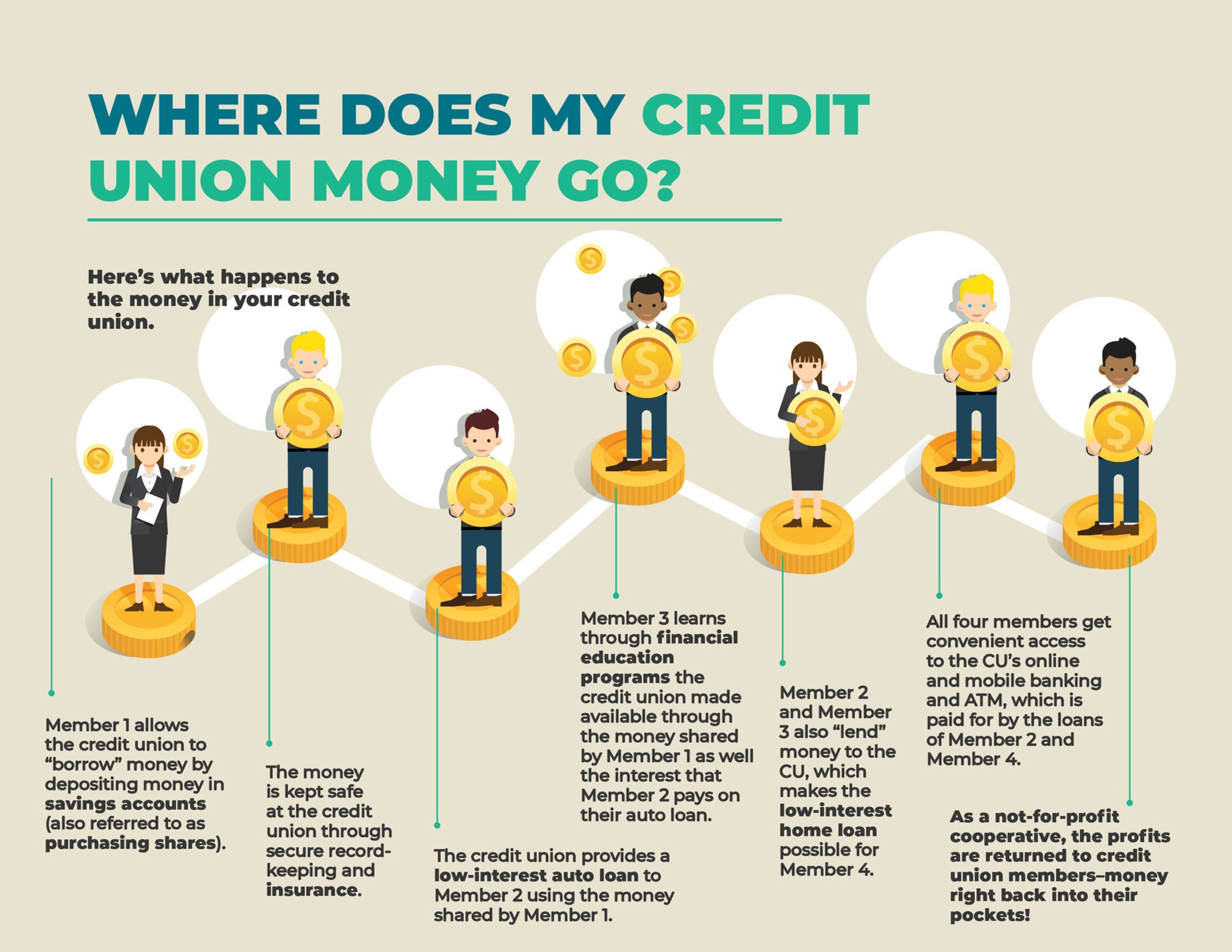 A graphic shows how money is used within a credit union. 